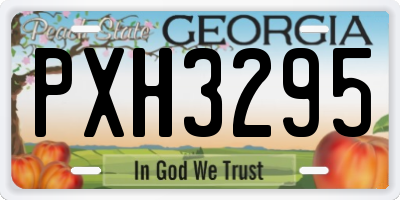 GA license plate PXH3295