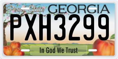 GA license plate PXH3299