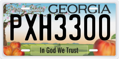 GA license plate PXH3300