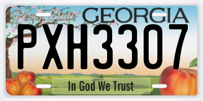 GA license plate PXH3307