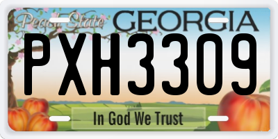 GA license plate PXH3309