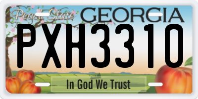 GA license plate PXH3310