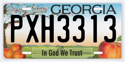 GA license plate PXH3313