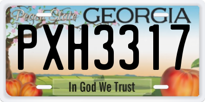 GA license plate PXH3317