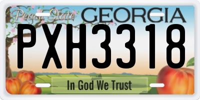 GA license plate PXH3318