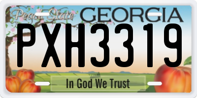 GA license plate PXH3319
