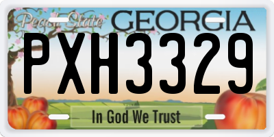 GA license plate PXH3329