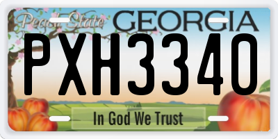 GA license plate PXH3340