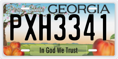 GA license plate PXH3341