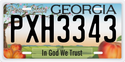GA license plate PXH3343