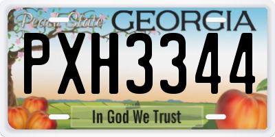 GA license plate PXH3344