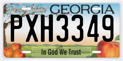 GA license plate PXH3349