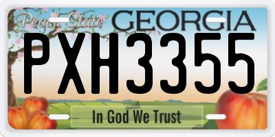 GA license plate PXH3355