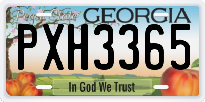 GA license plate PXH3365