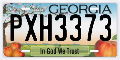 GA license plate PXH3373