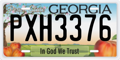 GA license plate PXH3376