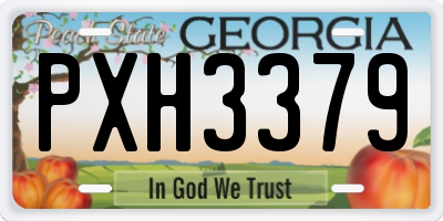 GA license plate PXH3379