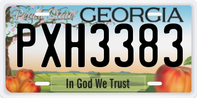 GA license plate PXH3383