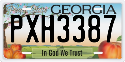 GA license plate PXH3387