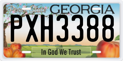 GA license plate PXH3388