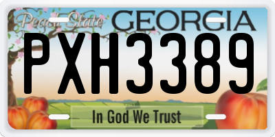 GA license plate PXH3389