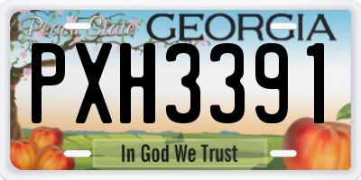 GA license plate PXH3391