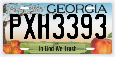 GA license plate PXH3393