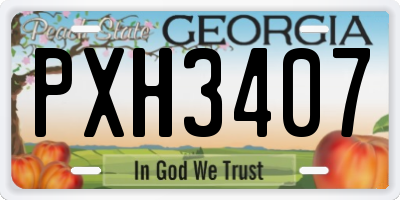 GA license plate PXH3407