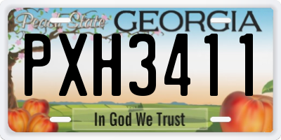 GA license plate PXH3411
