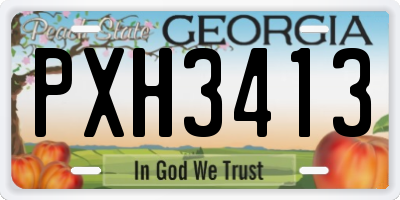 GA license plate PXH3413