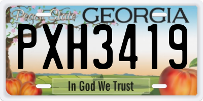 GA license plate PXH3419