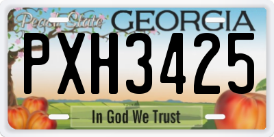 GA license plate PXH3425