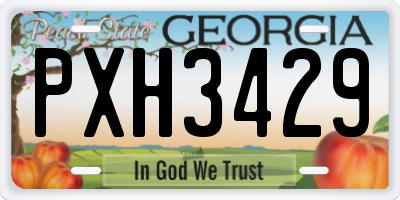 GA license plate PXH3429