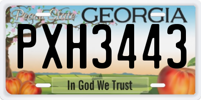 GA license plate PXH3443