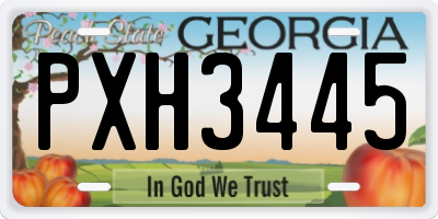 GA license plate PXH3445