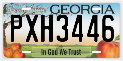 GA license plate PXH3446