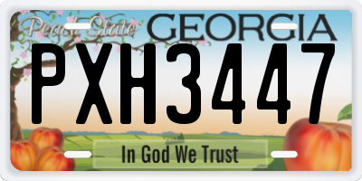 GA license plate PXH3447