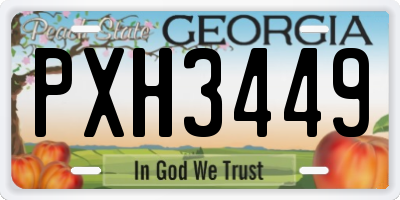 GA license plate PXH3449