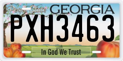 GA license plate PXH3463