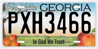 GA license plate PXH3466