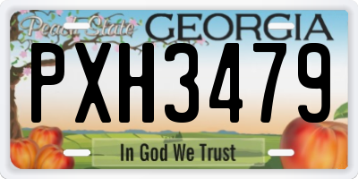 GA license plate PXH3479