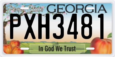 GA license plate PXH3481