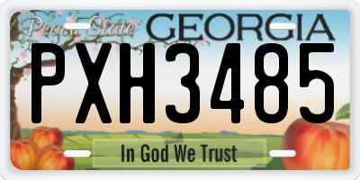 GA license plate PXH3485