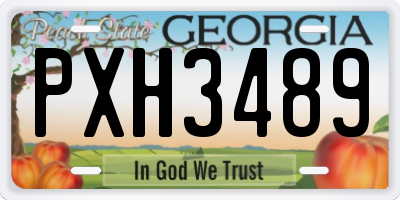 GA license plate PXH3489
