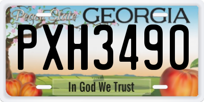 GA license plate PXH3490