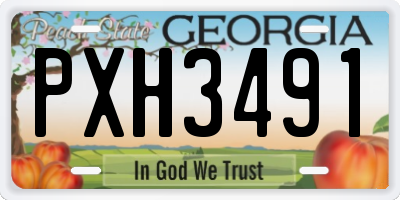 GA license plate PXH3491