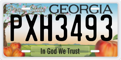 GA license plate PXH3493