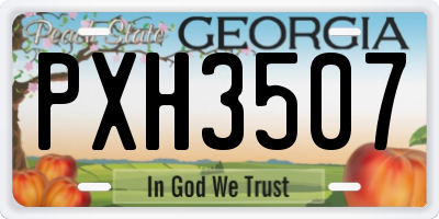 GA license plate PXH3507