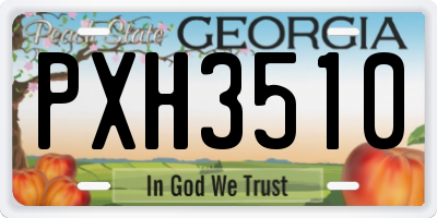 GA license plate PXH3510
