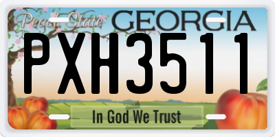 GA license plate PXH3511